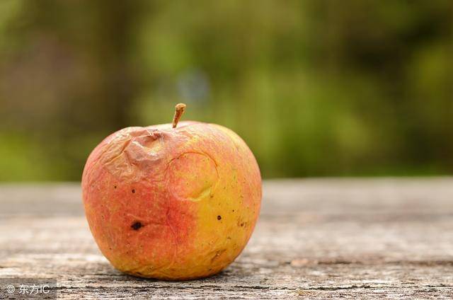 果子坏了,削皮继续吃,行吗?