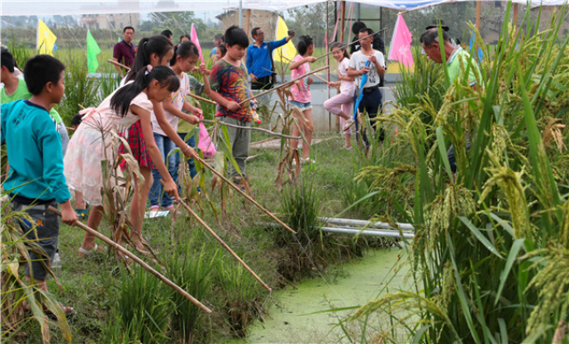 湖南汝城举办首届庆祝"中国农民丰收节"活动