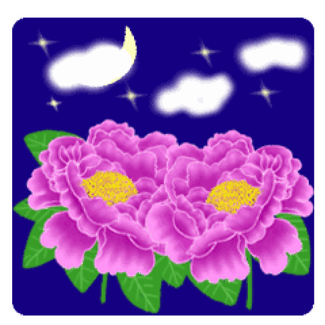 以平常心看世界,花开花谢都是风景.晚安,朋友!