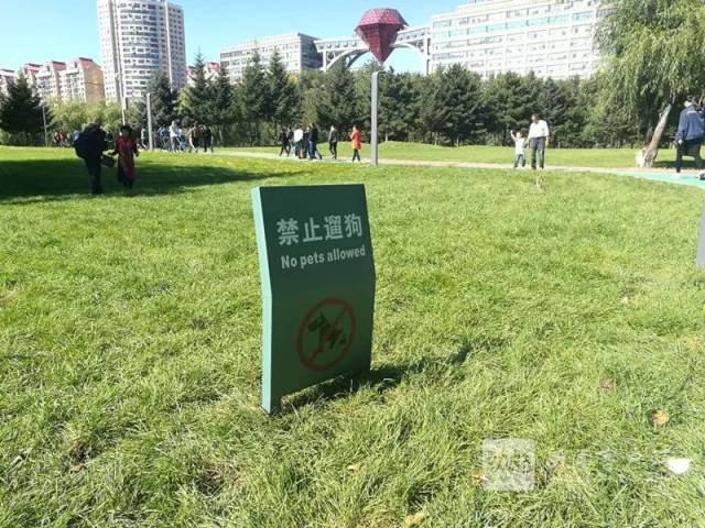 湘江公園開園首日 萬千遊人湧入!注意:草坪暫不能踩踏 禁止遛狗