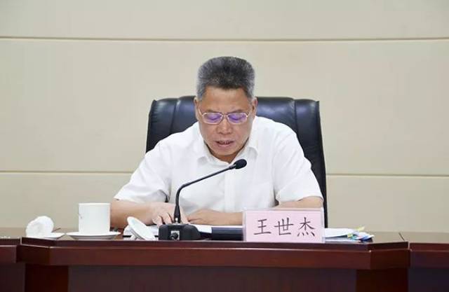 省人民政府副省长,省医改领导小组副组长王世杰讲话