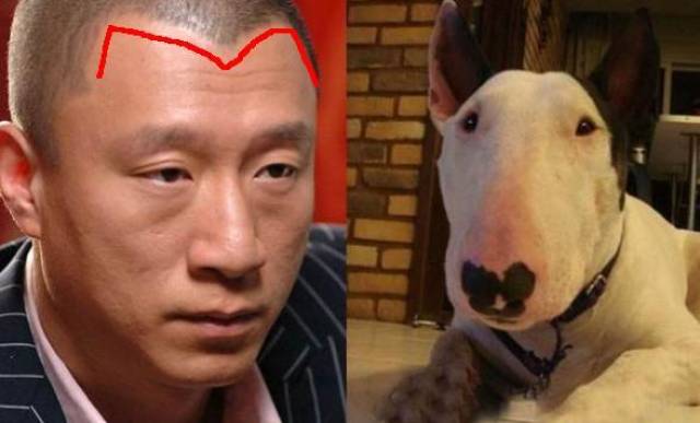 额头上有美人尖,远走他乡奔波的命,婚姻波折受