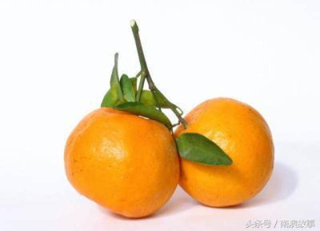 水果类:潮州柑,林檎,青皮梨,木仔(番石榴)