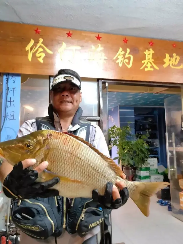 去外伶仃岛钓鱼,你能不找他吗?