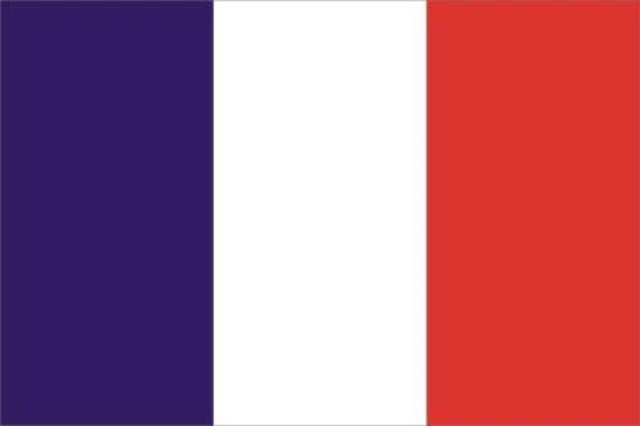 法国的国旗怎么画?图片