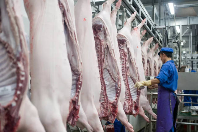 注意了!浙江暂停从省外调入生猪-警法频道-手机搜狐