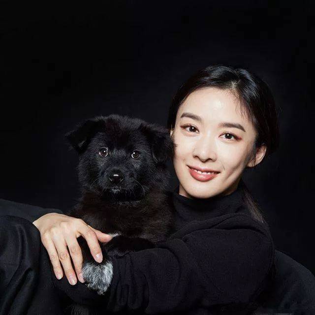 韩国公益广告《患有"抑郁症"的黑狗》,看到最后好心疼!