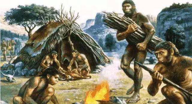 人类之所以能进化为高等动物,其中有一个关键点很重要,那就是类人猿在