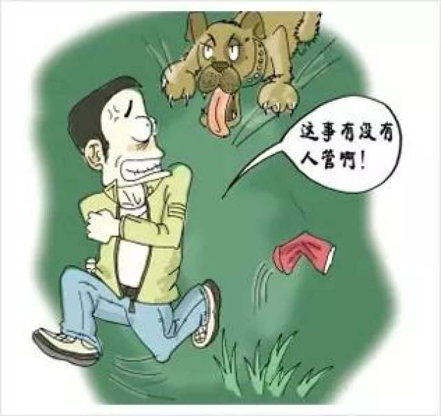 犬伤人,犬扰民事件时有发生.