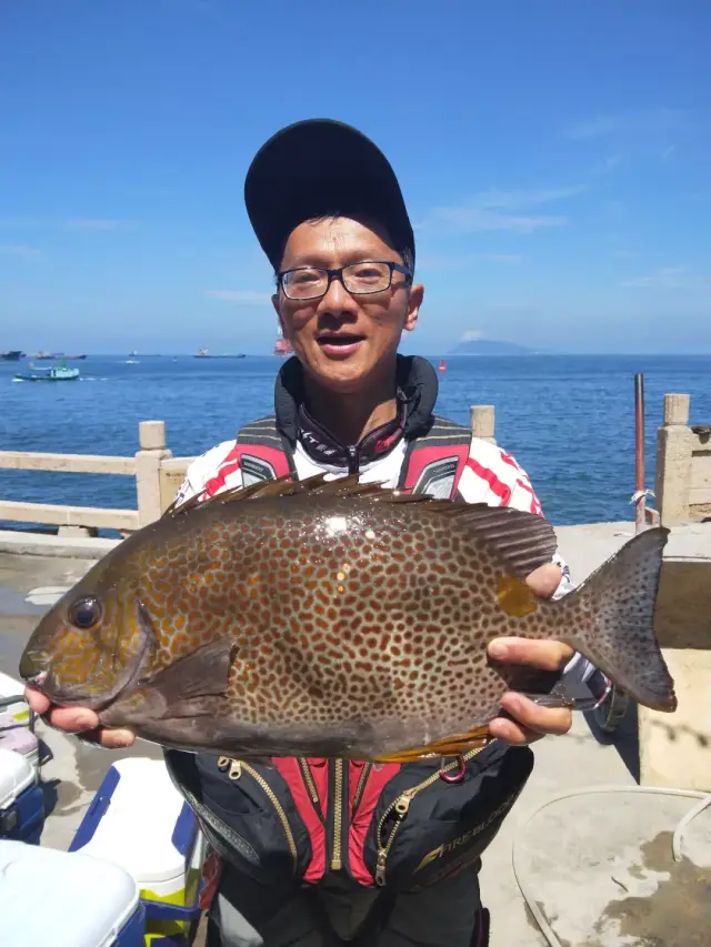 去外伶仃岛钓鱼,你能不找他吗?