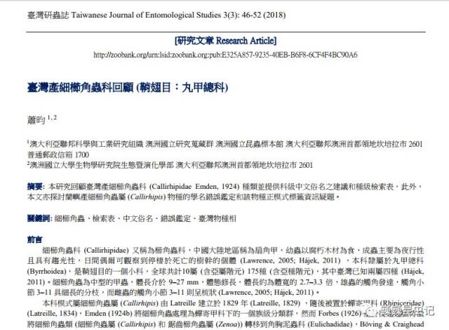 虫研捷报】台湾的细栉角虫科（扇角甲科）_成虫