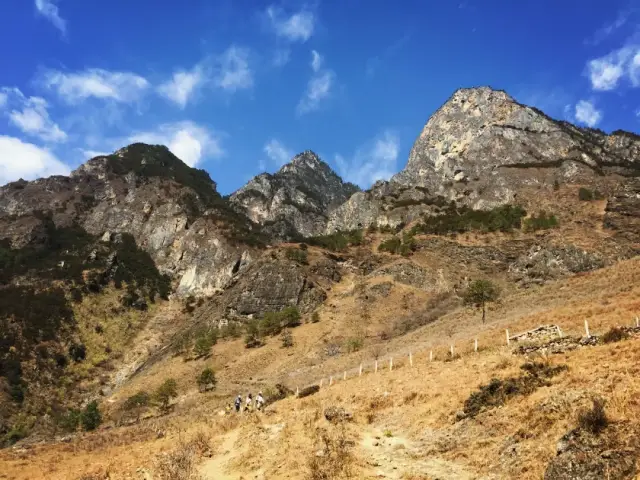 廣東茶協&喬歌行商學院 