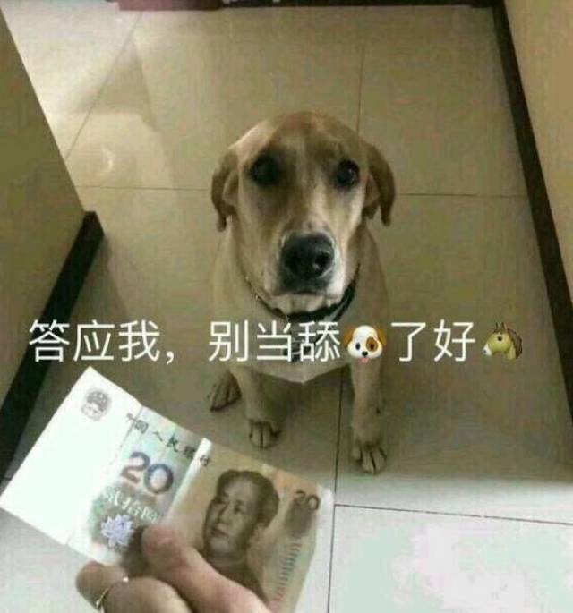 舔狗舔到最後一無所有是什麼意思 表情包分享