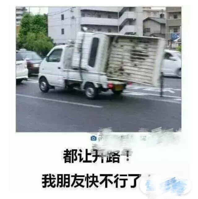 笑死人不償命的爆笑圖集,為救一條狗死了三活人