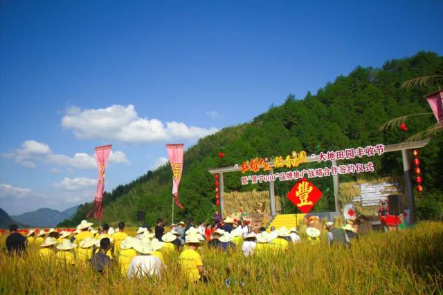 現場 祭祀穀神,收割大賽體驗等活動 將豐收的喜悅洋溢在每個人的臉上