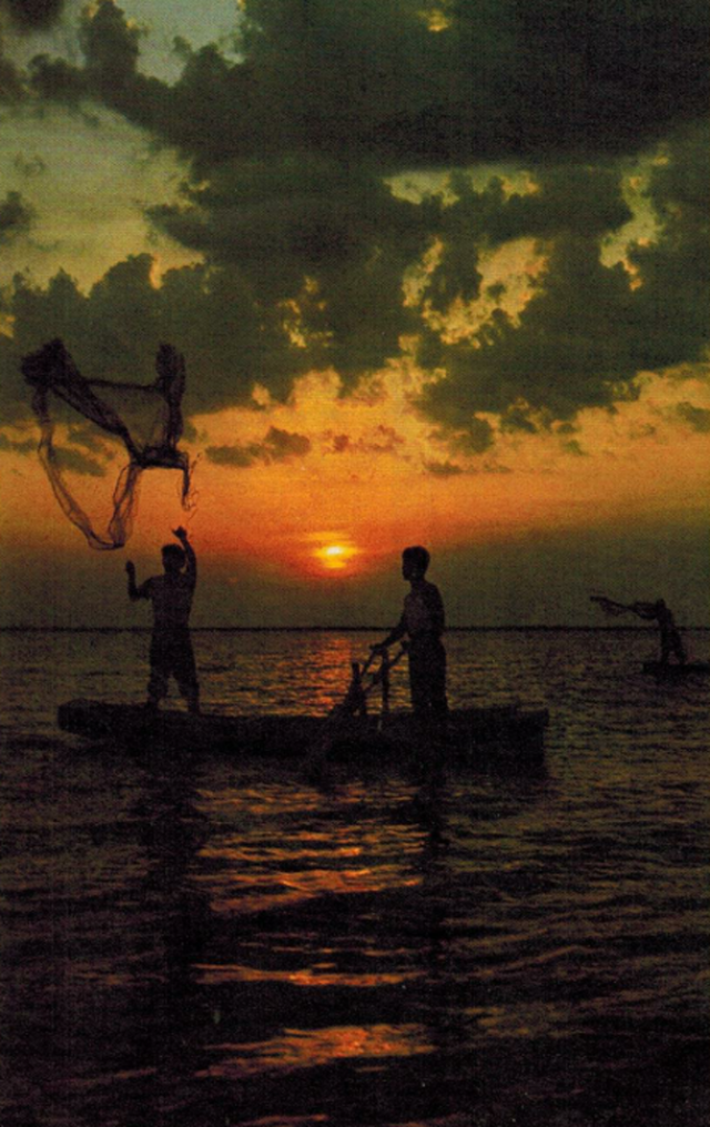 老照片:70年代的北大荒 农场太大了要开飞机施肥