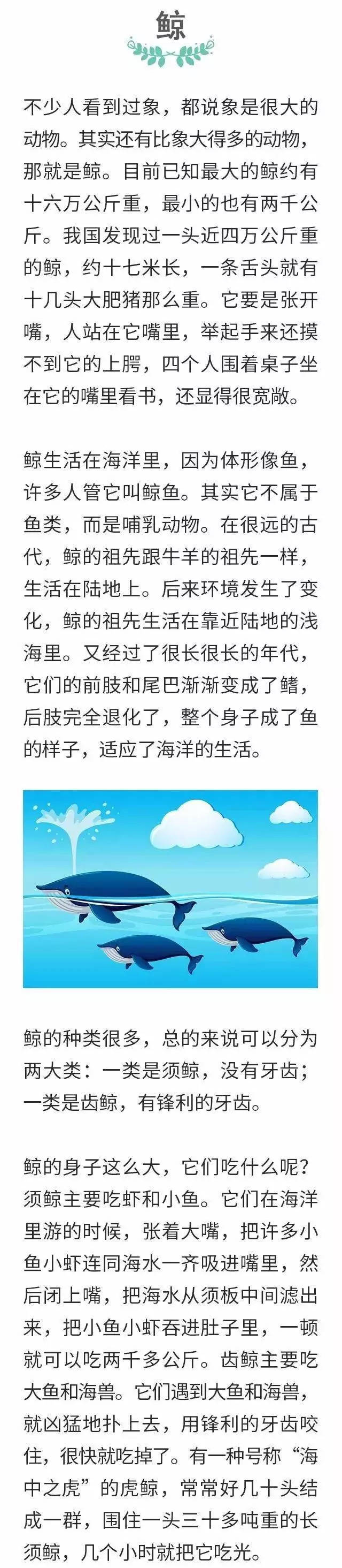 鲸原文图片