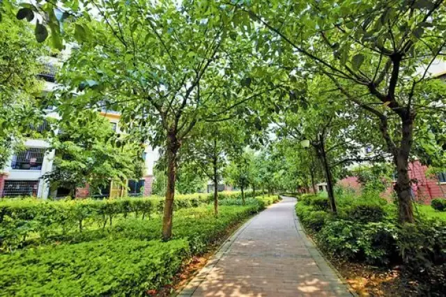 等电梯也不至于等几趟都上不去;而绿化率越高说明小区植被覆盖越多