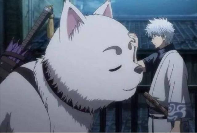 不过竹鼠好养,这定春就难了.