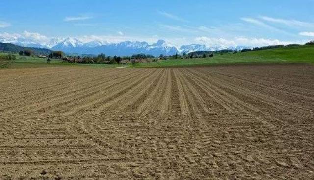 转化项目|非农业建设占用耕地耕作层剥离保护利用研究