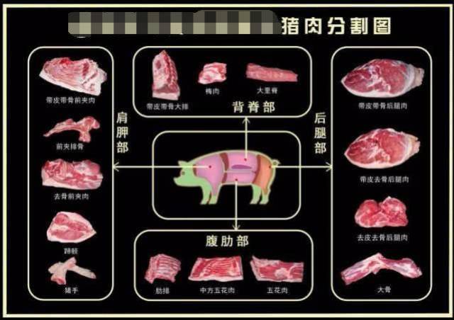猪身上不同部位的肉, 一张图秒懂! 再也不用担心被肉贩子忽悠了