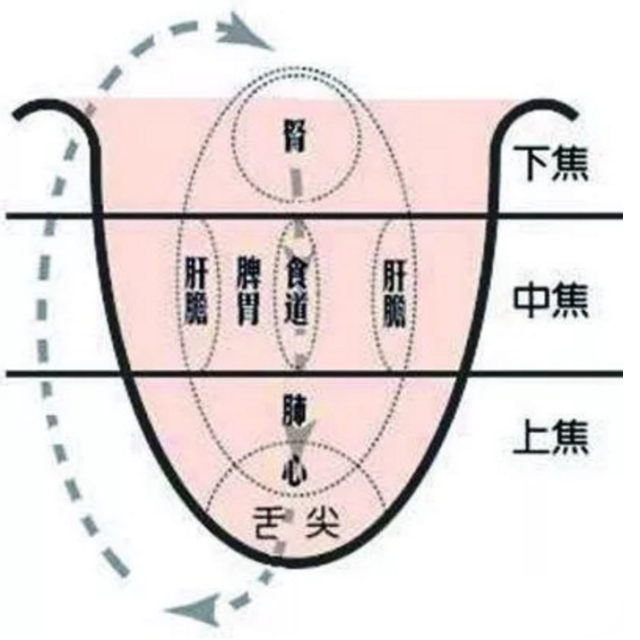 元和小兒推拿告訴你舌頭的變化是孩子生病的前兆,爸媽必須懂一點舌診