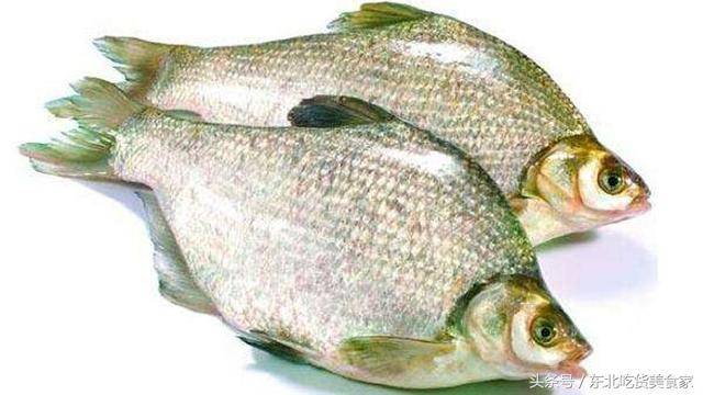 东北有名的三花一岛,都是哪几种鱼?你都吃过吗