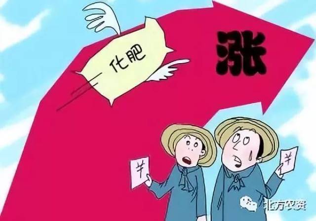 深入了解氮肥制作工艺