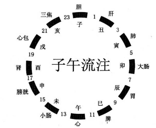 鍼灸医術の古典原理(標幽賦詳解)-