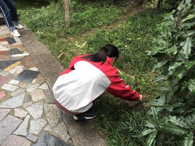 安徽省阜阳实验中学——争做劳动能手 共创文明校园