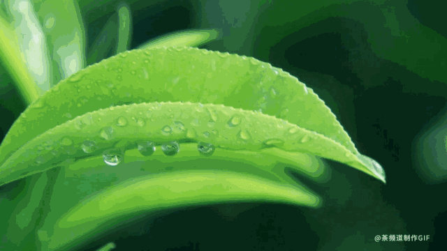 640_360gif 动态图 动图