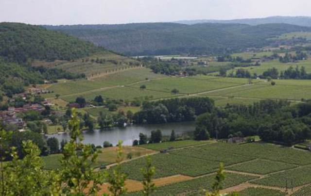 法国十大产区之一:西南产区