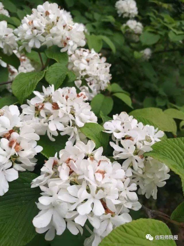 放假离校前,你还有一份礼物待领取