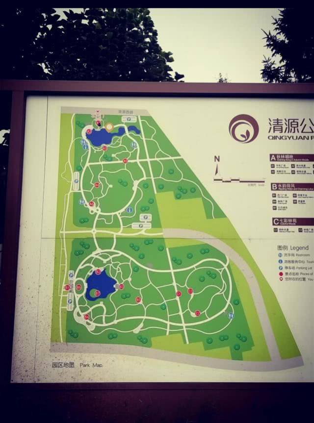 北京清源公园的南——森林深幽的十字路口