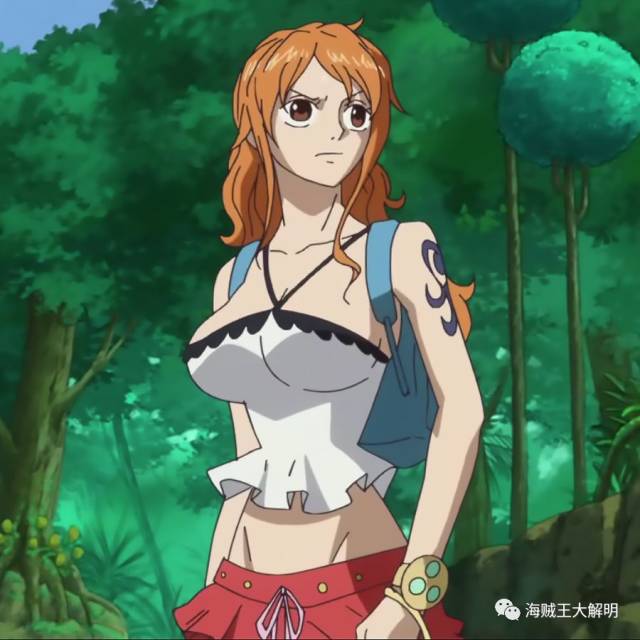 【究极大盘点】你知道截至目前娜美总共换了多少身衣服吗?