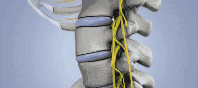 长期以往,后颈肌肉容易劳损,出现炎症,酸痛,甚至还会影响骨骼的生长