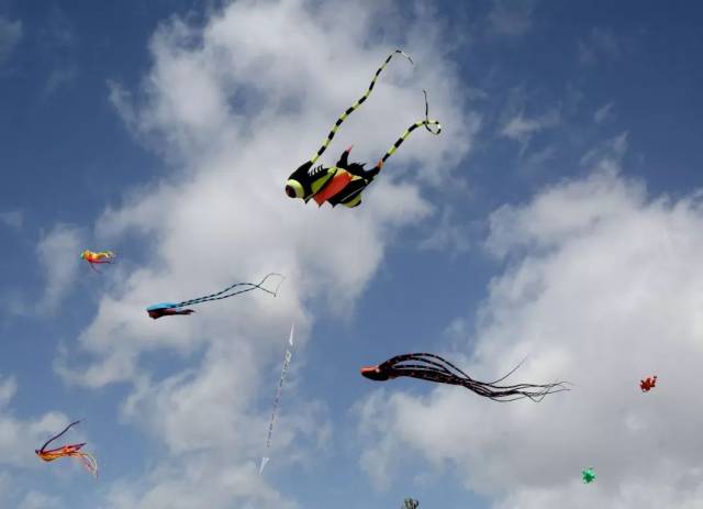 魅力石拐昨日石拐万人空巷共享自行车风筝文体盛宴