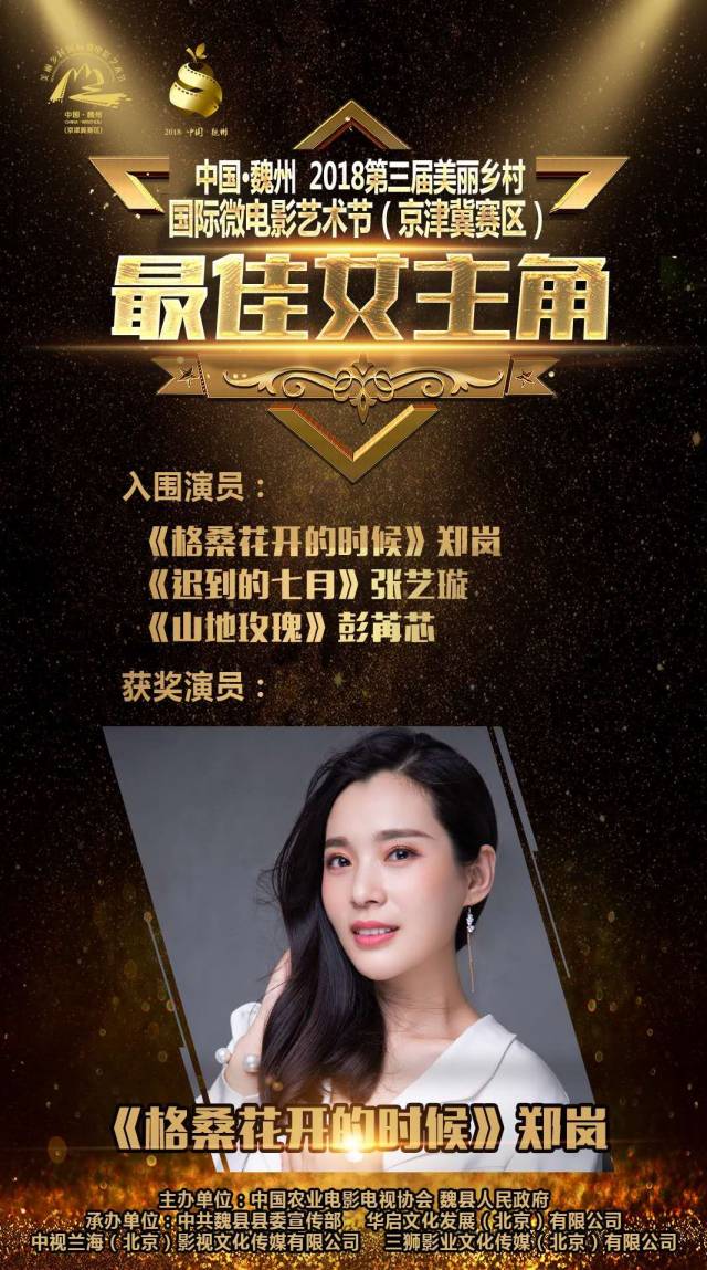 美丽乡村国际微电影艺术节京津冀赛区各单项奖出炉