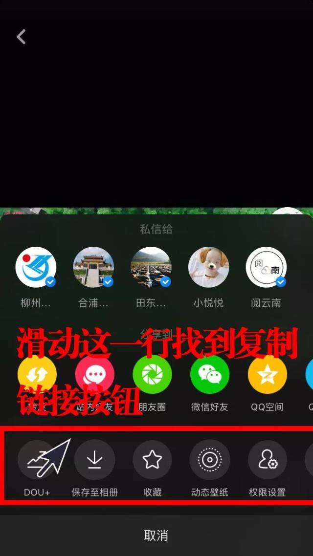 联系方式,作品简要说明等)及抖音作品链接