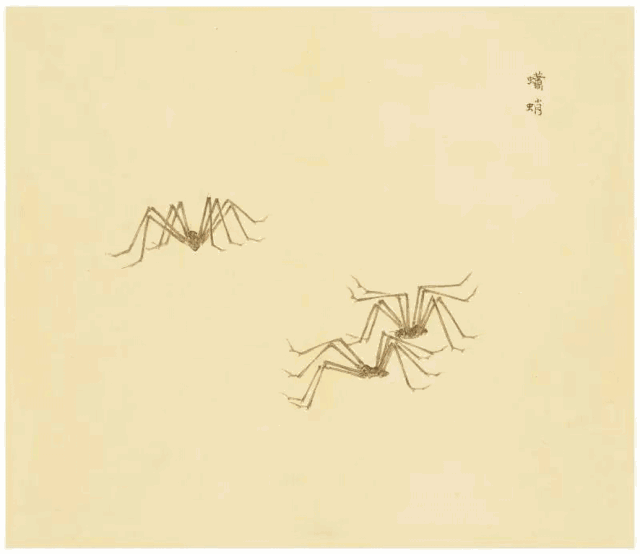 如果《诗经》里的小精灵动了起来会怎样?丨国庆精品特辑