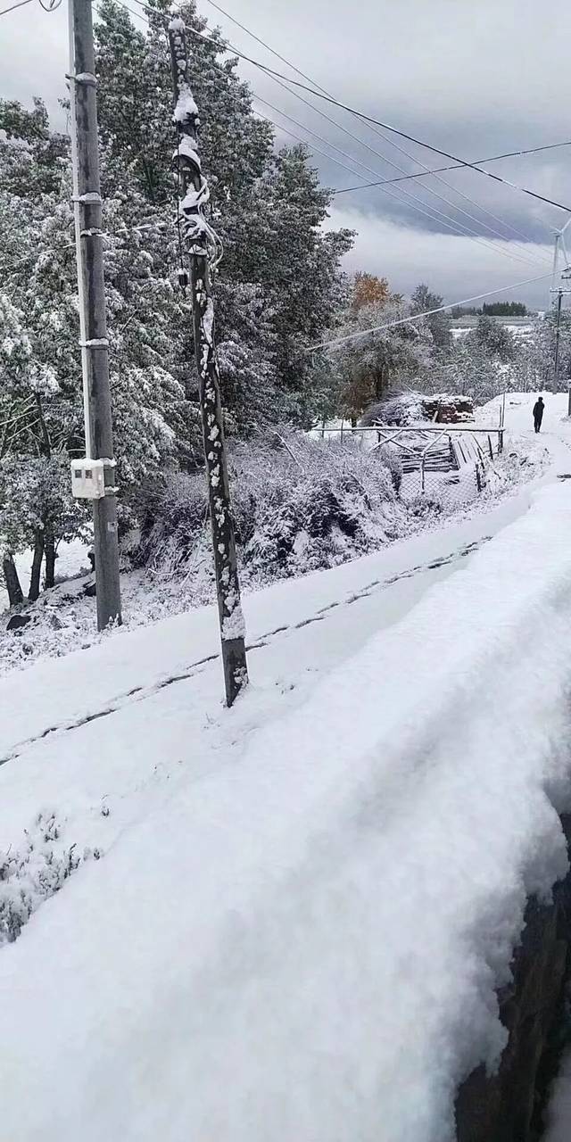 凌源24小时天气今日情况