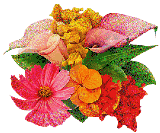 说,真心实意不会少,我的祝福在你的身边看不见,摸不着,希望你能感觉到