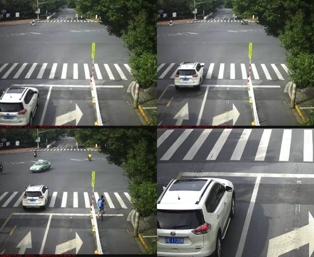 浙e5270s,浙e1881g,浙e9866t…湖州又一批车上榜!