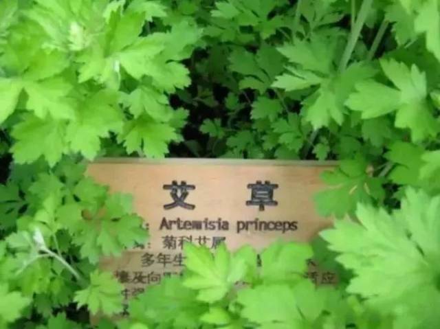 享受舒适的按摩体验 —— 日照上门按摩行业的现状与趋势