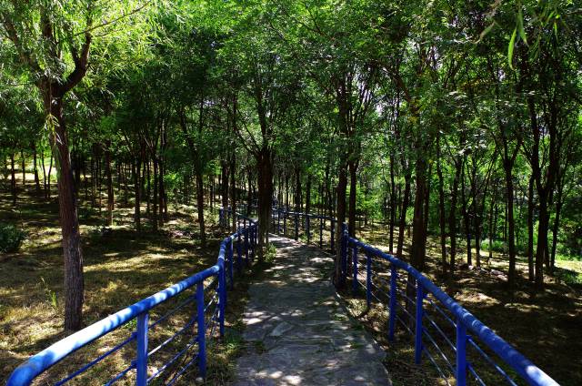 闲走北京之绿海森林公园