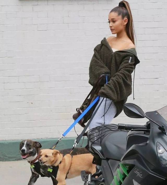 明星| a妹收养前男友mac miller爱犬!粉丝直呼:这是我看过最贴心的事