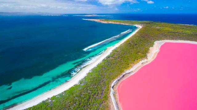 中国女游客逆行迎头撞上旅游大巴!