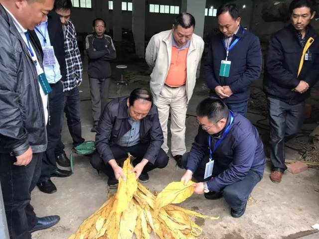 四川烟草郭明全图片