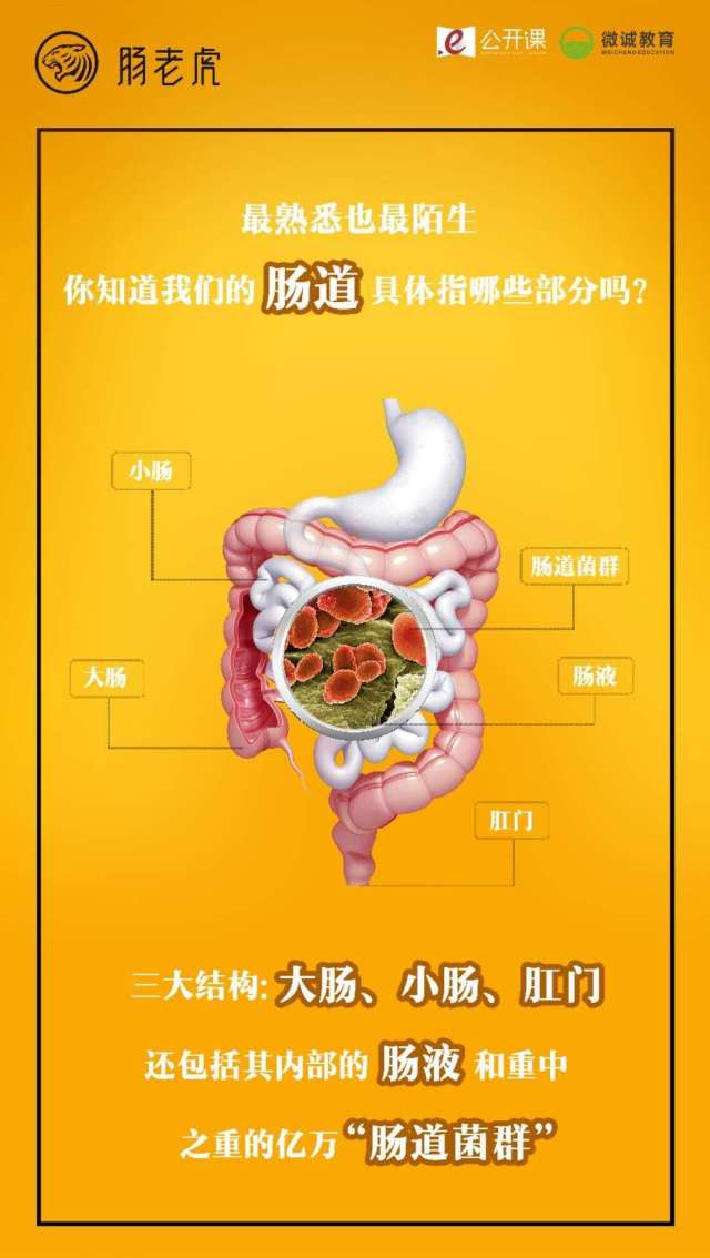 滑肠是什么意思 搜狐网