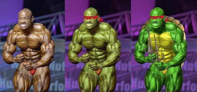 杰克逊为啥被称为神龟看看健美版的忍者神龟就知道了